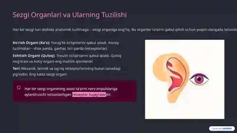 Sezgilar: Umumiy tushuncha va nerv-fiziologik asoslar 4