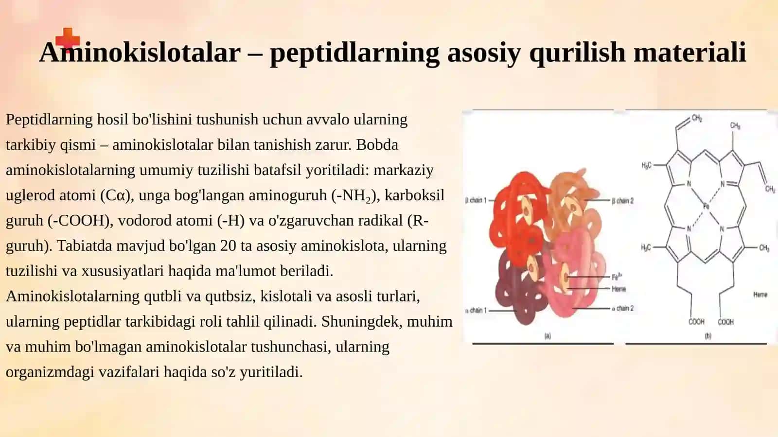 Peptidlarning hosil bo'lishi va kimyoviy tabiati 4