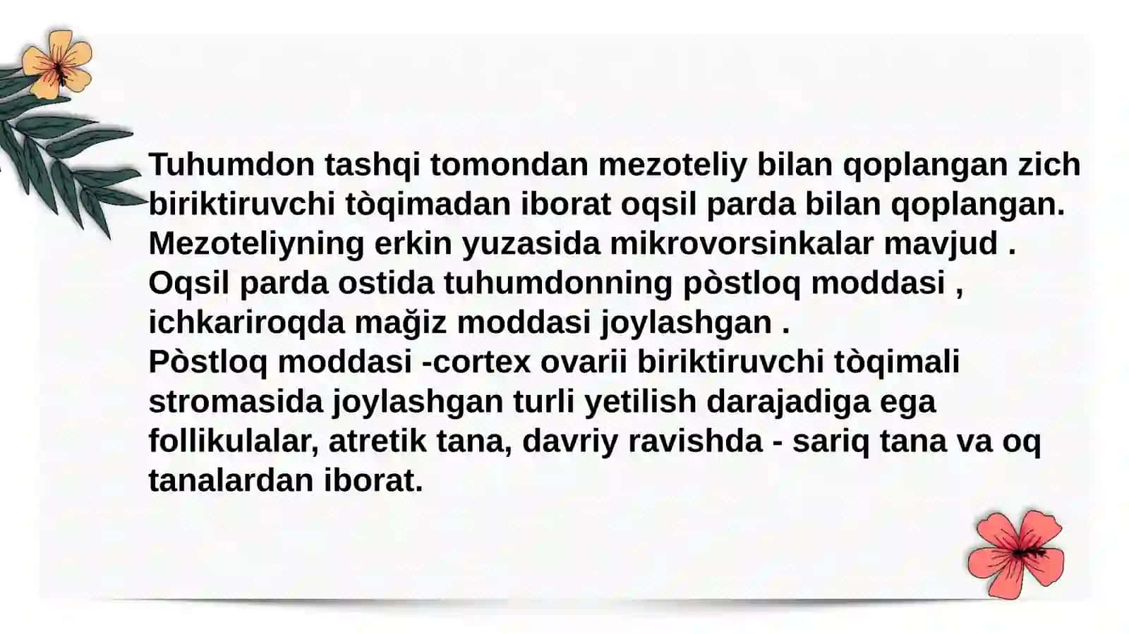 Ayollarjinsiytizimi.Tuhumdongistologiyasi 4