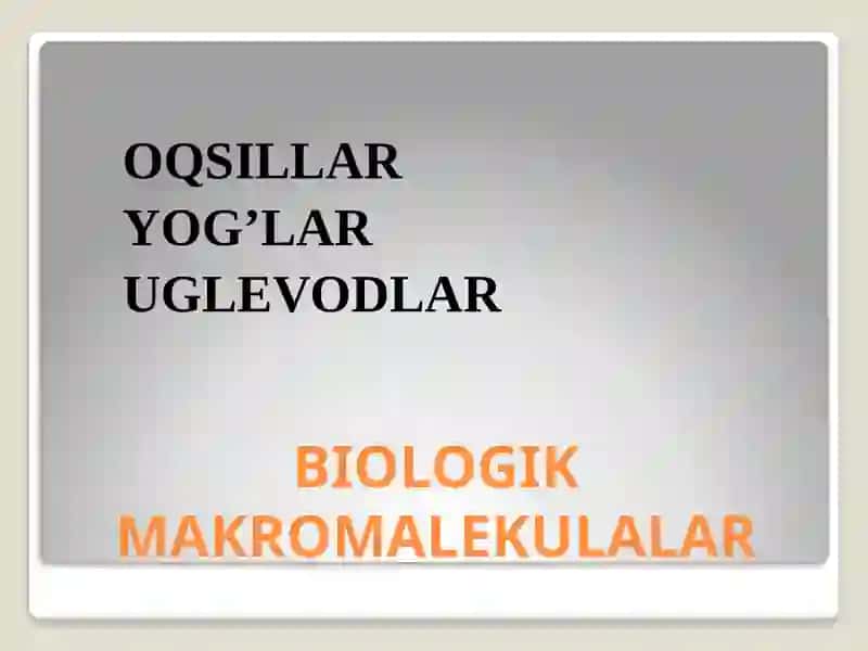 BIOLOGIK MAKROMOLEKULALARNI VIZUALITSIYA QILISH DASTURLARI 4