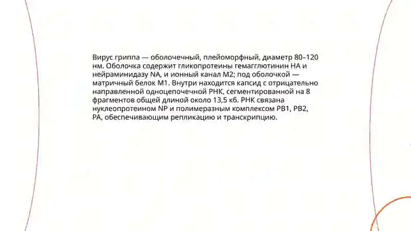 Виды вируса гриппа: типы A, B, C и D 4