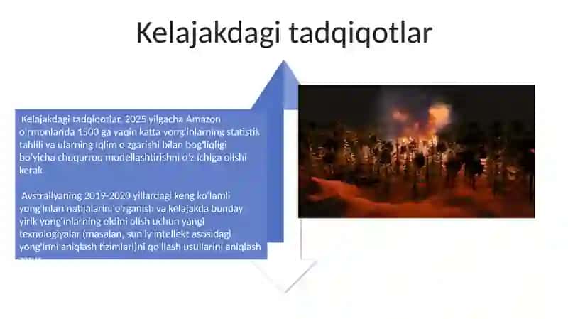 O'rmonlardagi Yong'inlar Muammosi 4