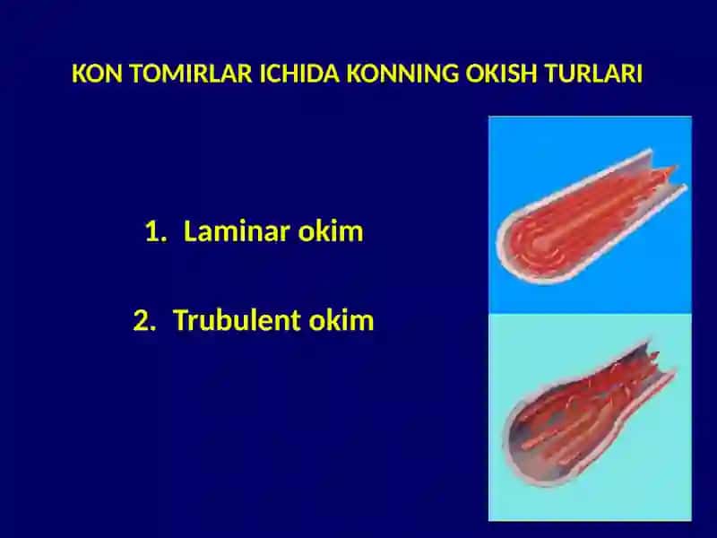 QONTOMIR FIZIOLOGIYASI 4