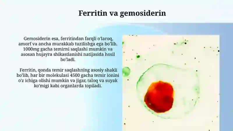 Temir yetishmovchiligi anemiyasi 4
