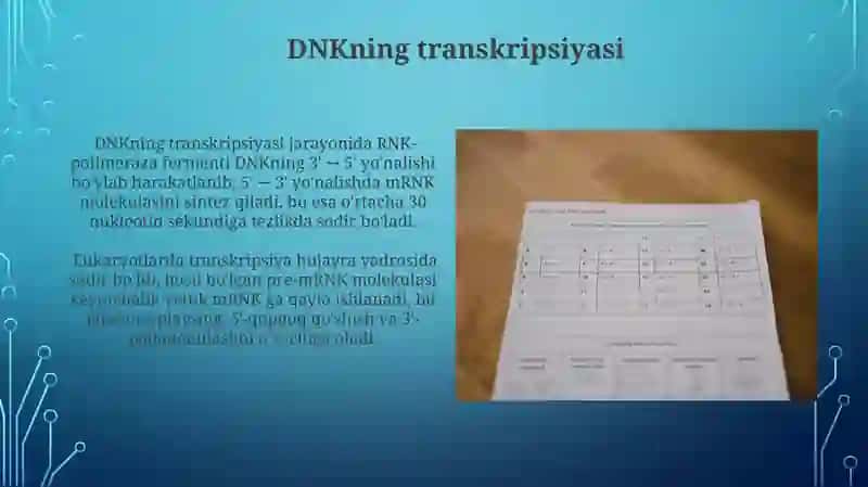 Formulalarning normal shakillari. DNSh,MKNSh, MDNSh, KNSh 4