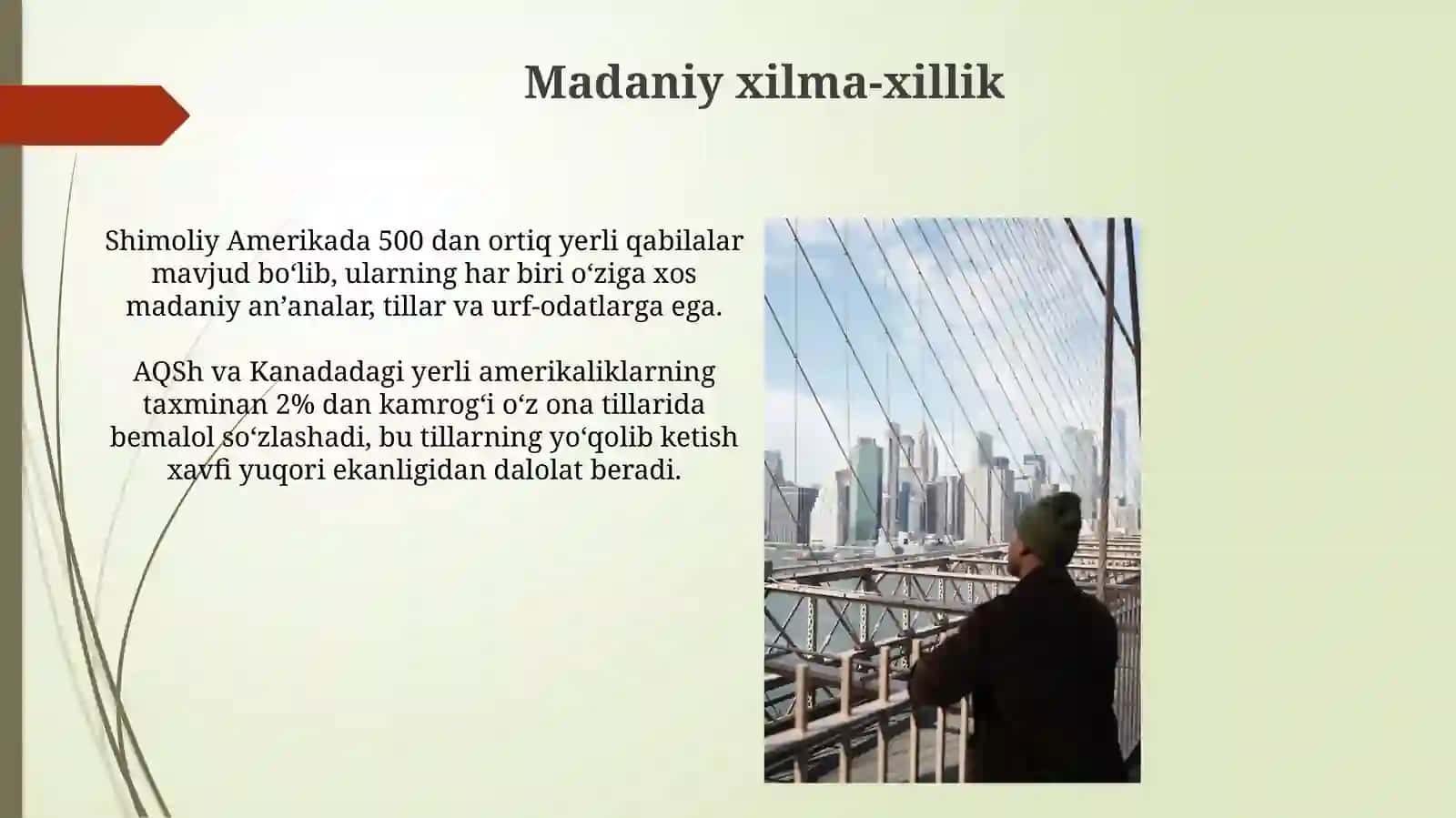 Shimoliy Amerika xalqlari moddiy madaniyati 4