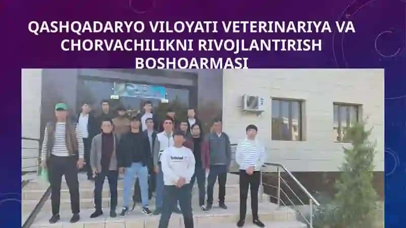 Turayev Elboyning malakaviy amaliyot taqdimoti 4