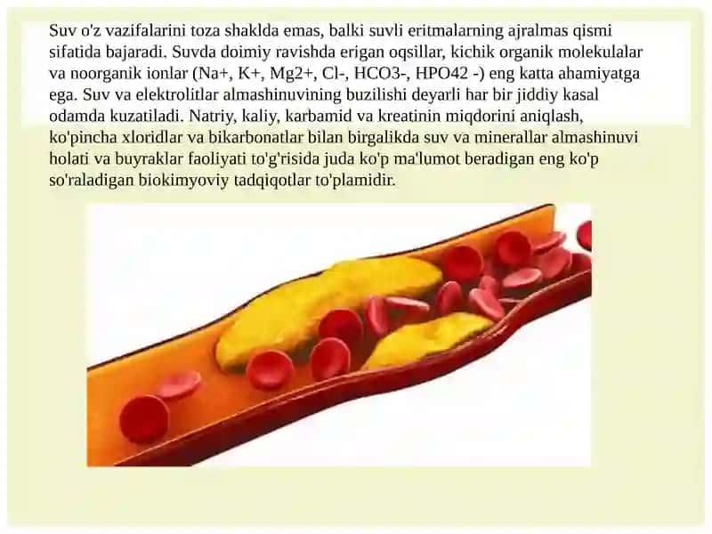 Sfingolipidozlar 4