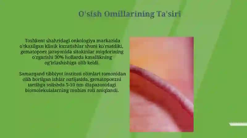 Qon Yaratuvchi Jarayonlarni Tartibga Solish 4