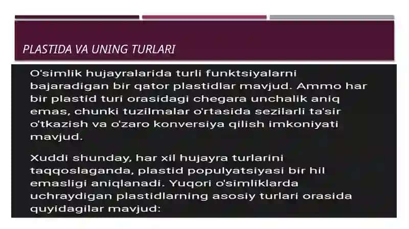 PlasTida pigmentlari va Ularni fotosintezdagi roli 4