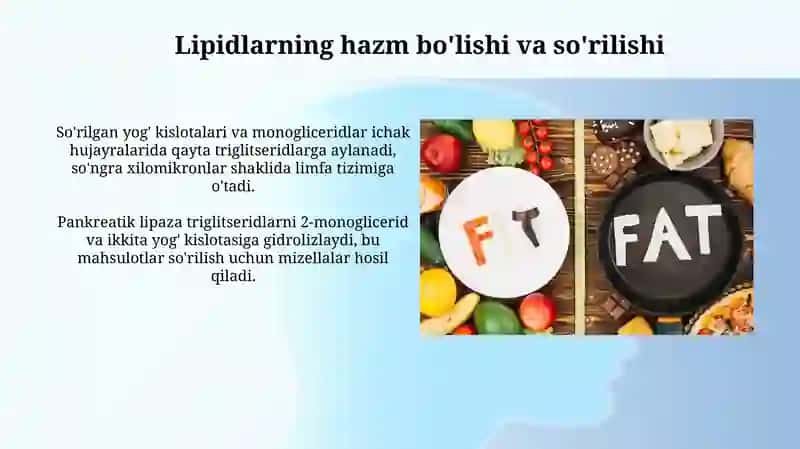 Lipitlar 4
