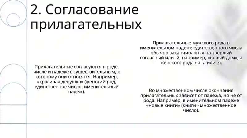 Презентация Тема:Имяприлагательное 4