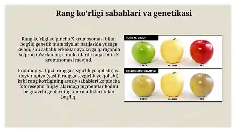 Rang ko'rligi: Ta'rif va turlari 4