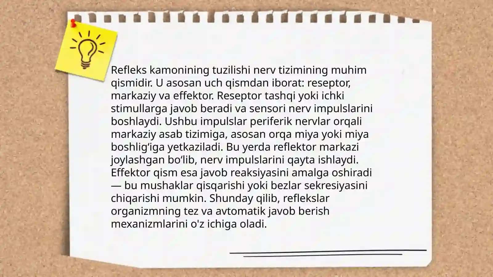 Oddiy refleks yoyi sezuv va oʻtkazuv yoʻllari ESHONQULOVA MUNAVVAR 4