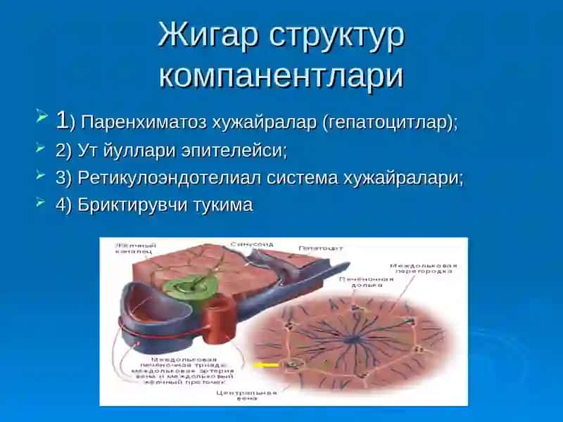 ЖИГАР РАКИ 4