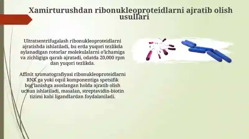 Ribonukleoproteinlarning Gidrolizi: Usullari va Mahsulotlarini Tahlil Qilish 4