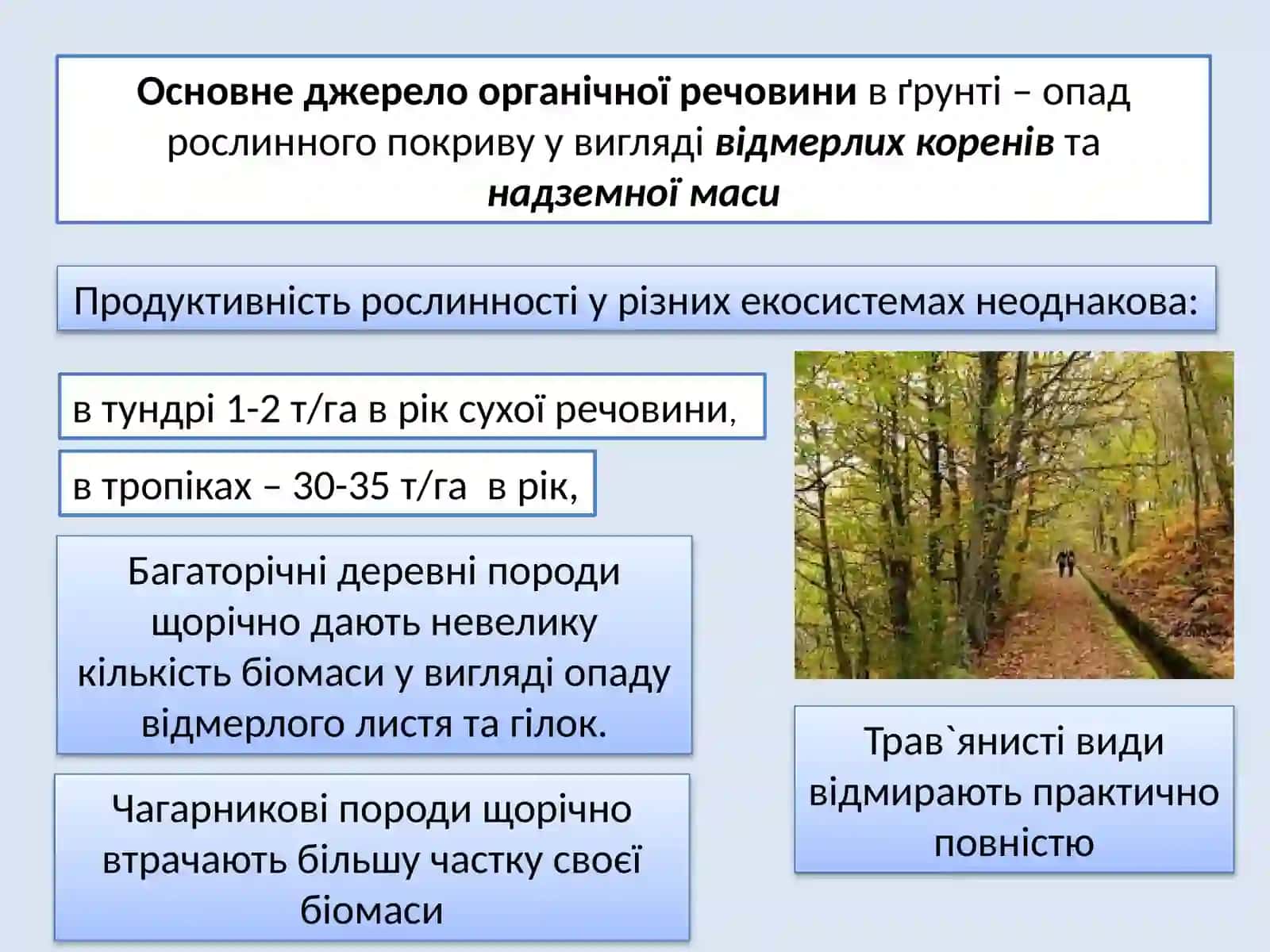 Органічна частина ґрунту 4
