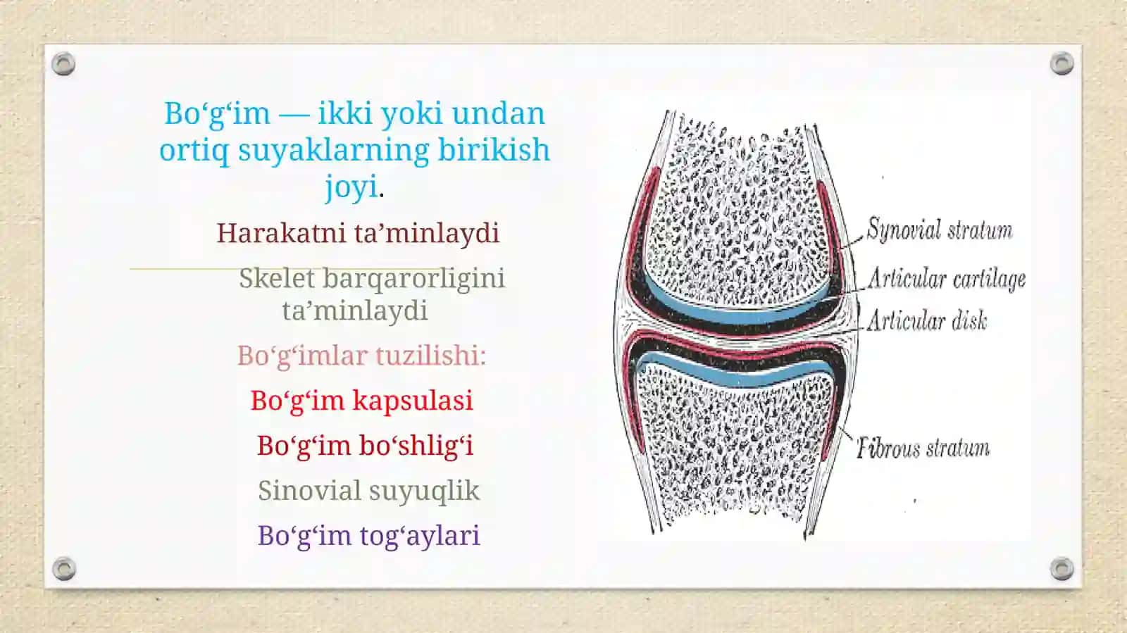 ODAM ANATOMIYASI FANIDAN TAYYORLAGAN MUSTAQIL ISHI 4