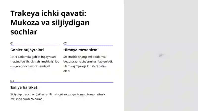 Trakeya Tuzilishi 4