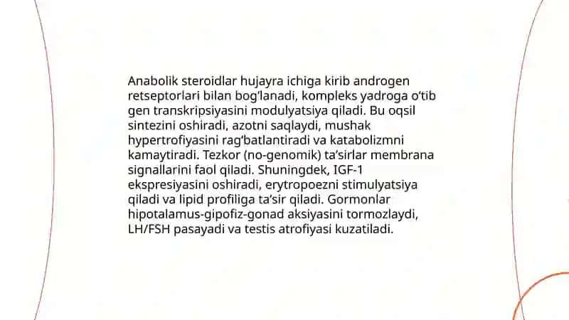 Steroidlar 4