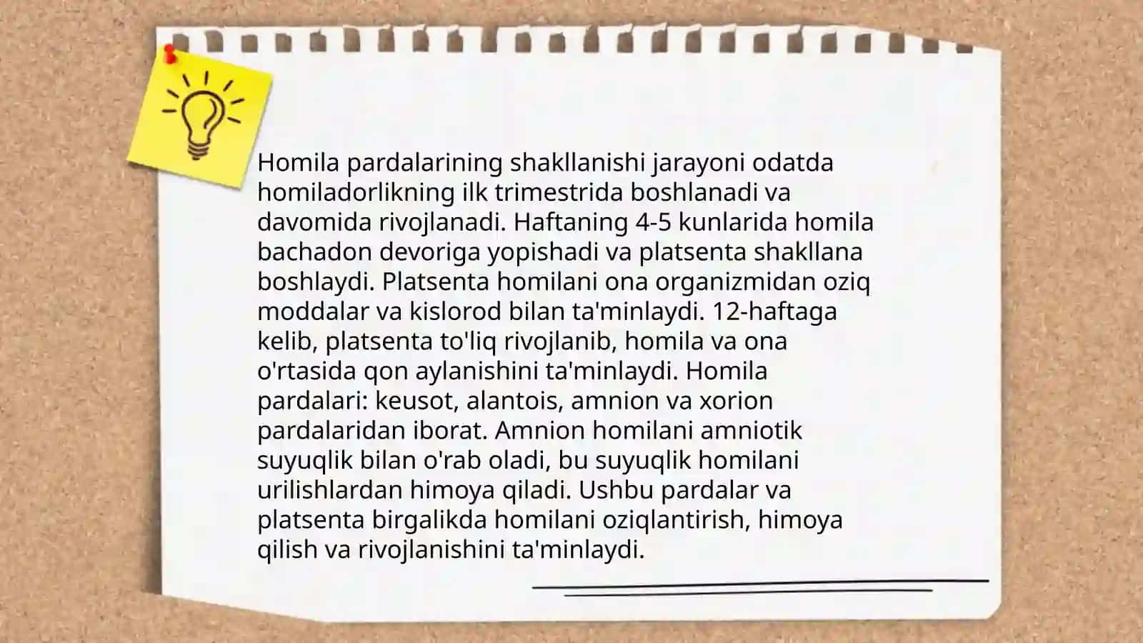 Togʼayli baliqlarning individual rivojlanish xususiyatlari 4