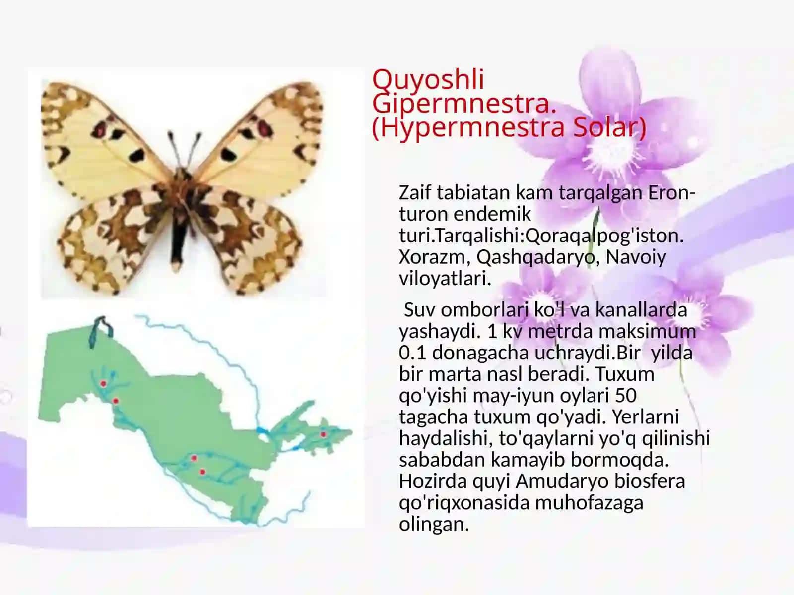 O'zbekiston "Qizilkitobi" gakiritilgan Farg'ona vodiysi datarqalgan tangachaqanotlilar va killarining bio-ekologik xususiyatlari 4