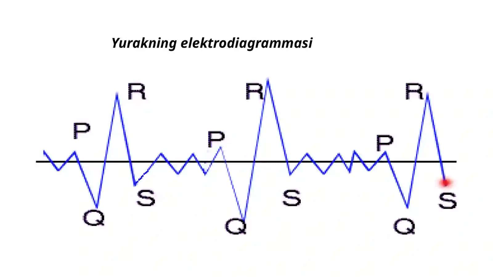 Qon aylanish tizimining yosh xususiyatlari va gigiena 4