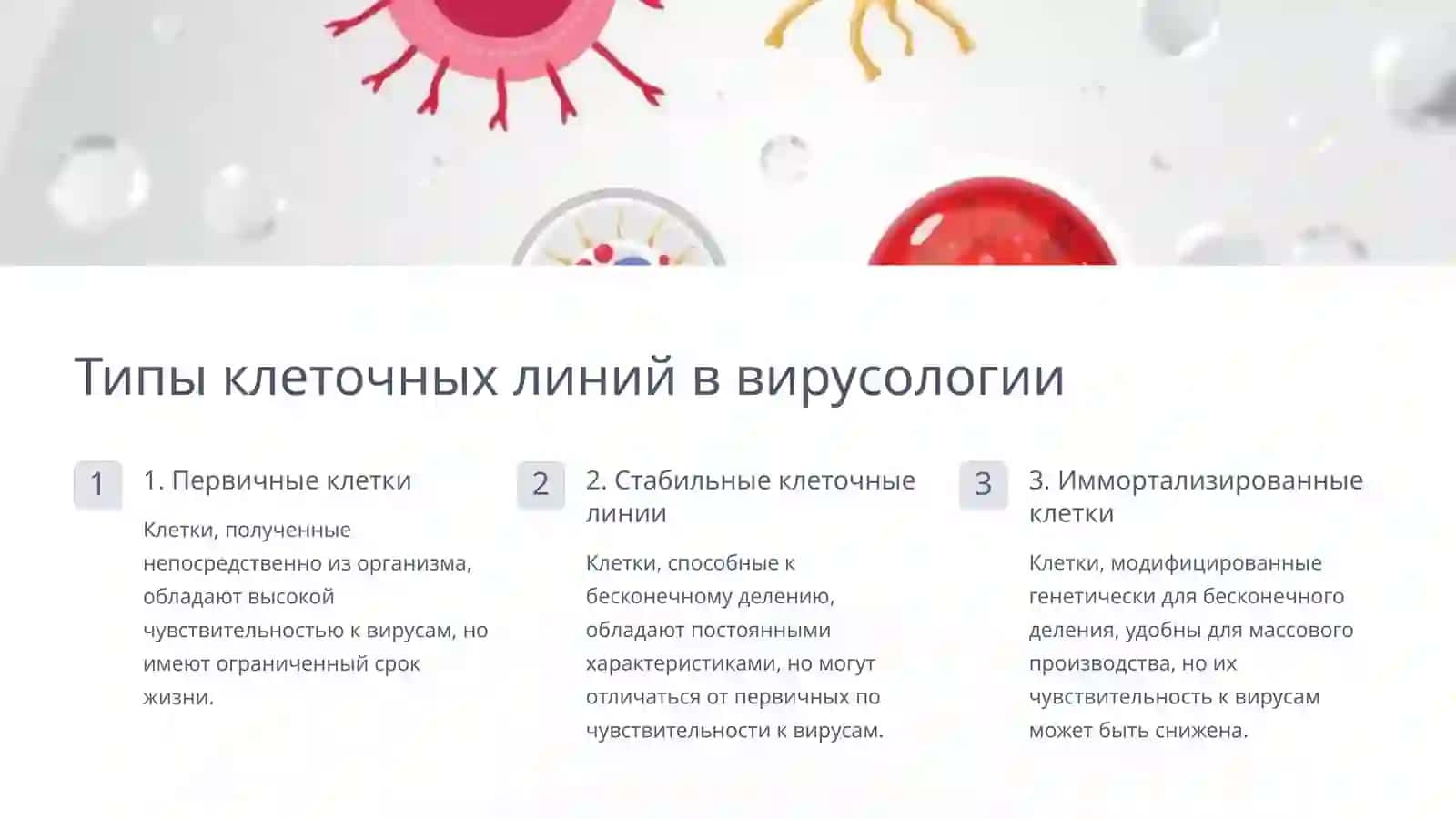 Культуры клеток: Незаменимый инструмент в вирусологии 4
