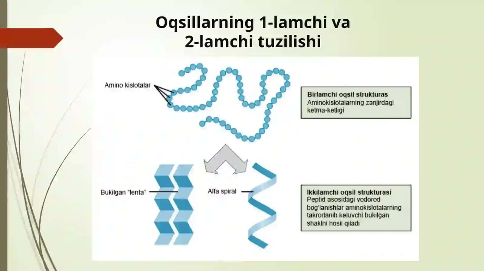 SUNIY OQSIL OZIQA MODDALARINING ISHLAB CHIQARILISHI VA KELGUSIDAGI IMKONIYATLAR 4