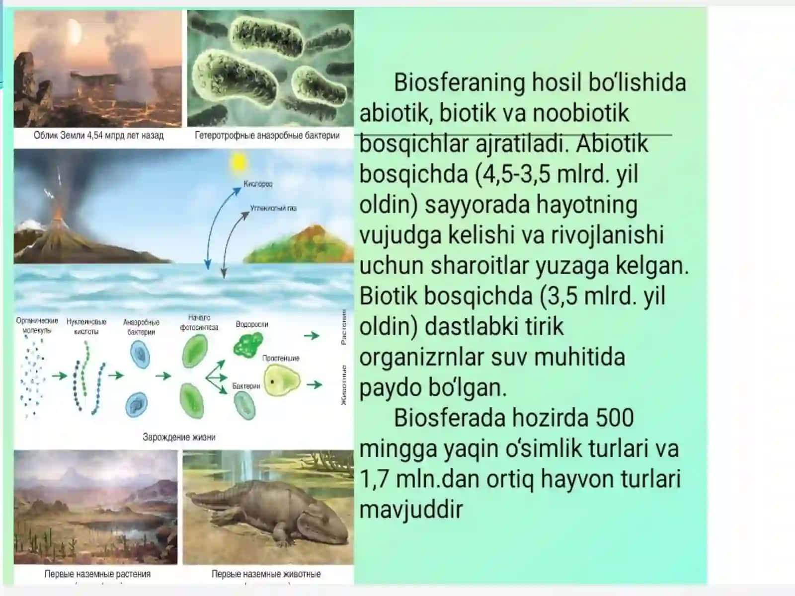Biosfera. Biosferaning asosiy funksiyalari va tarkibi 4