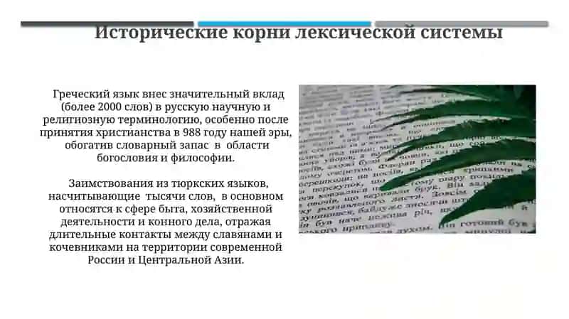 Лексическое богатство русского языка 4