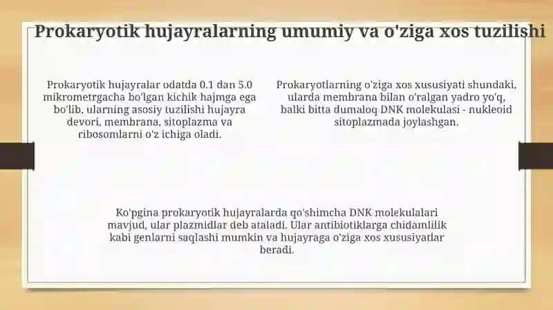 Viruslar 4