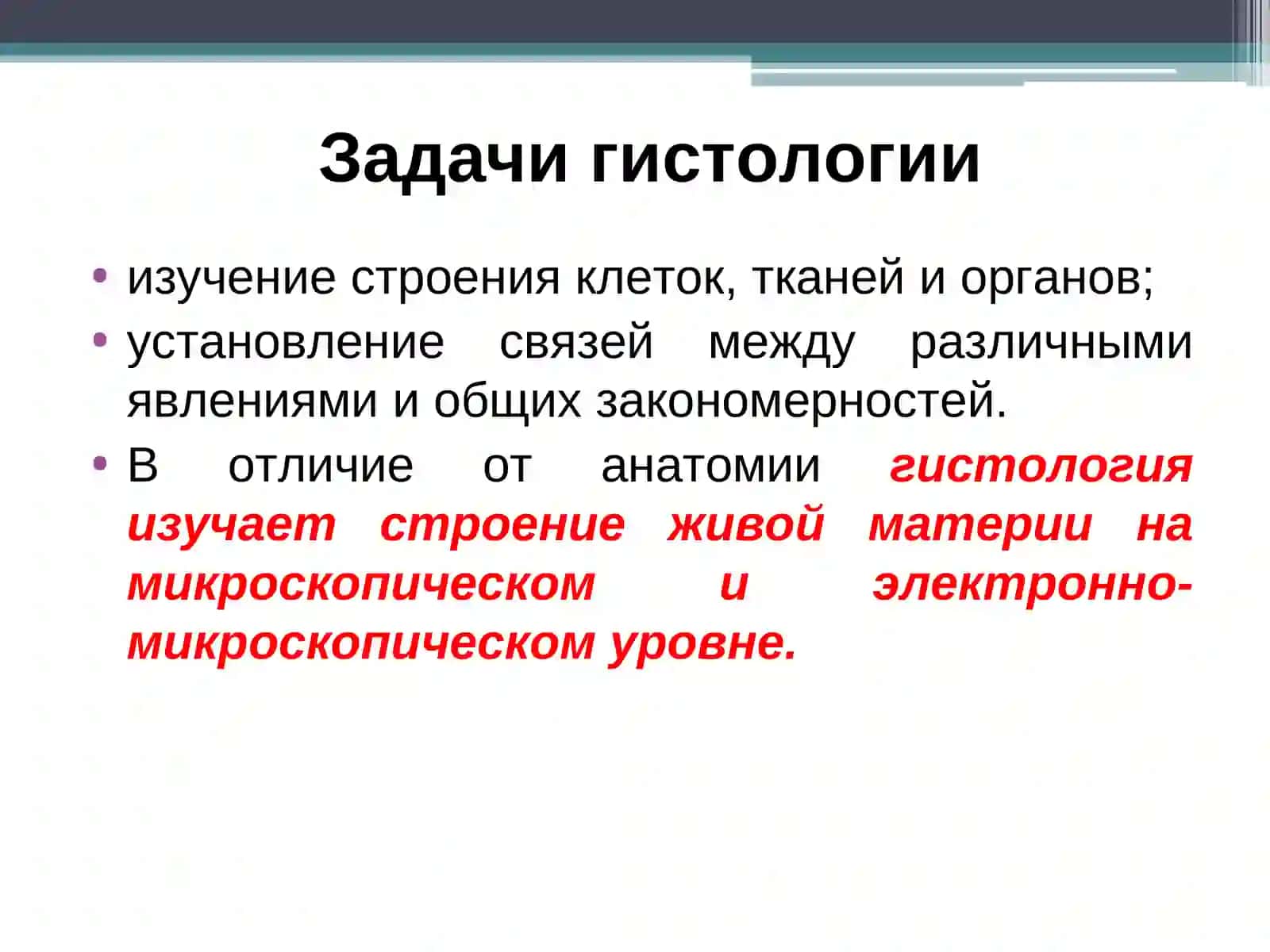 Гистология, цитология и эмбриология 4