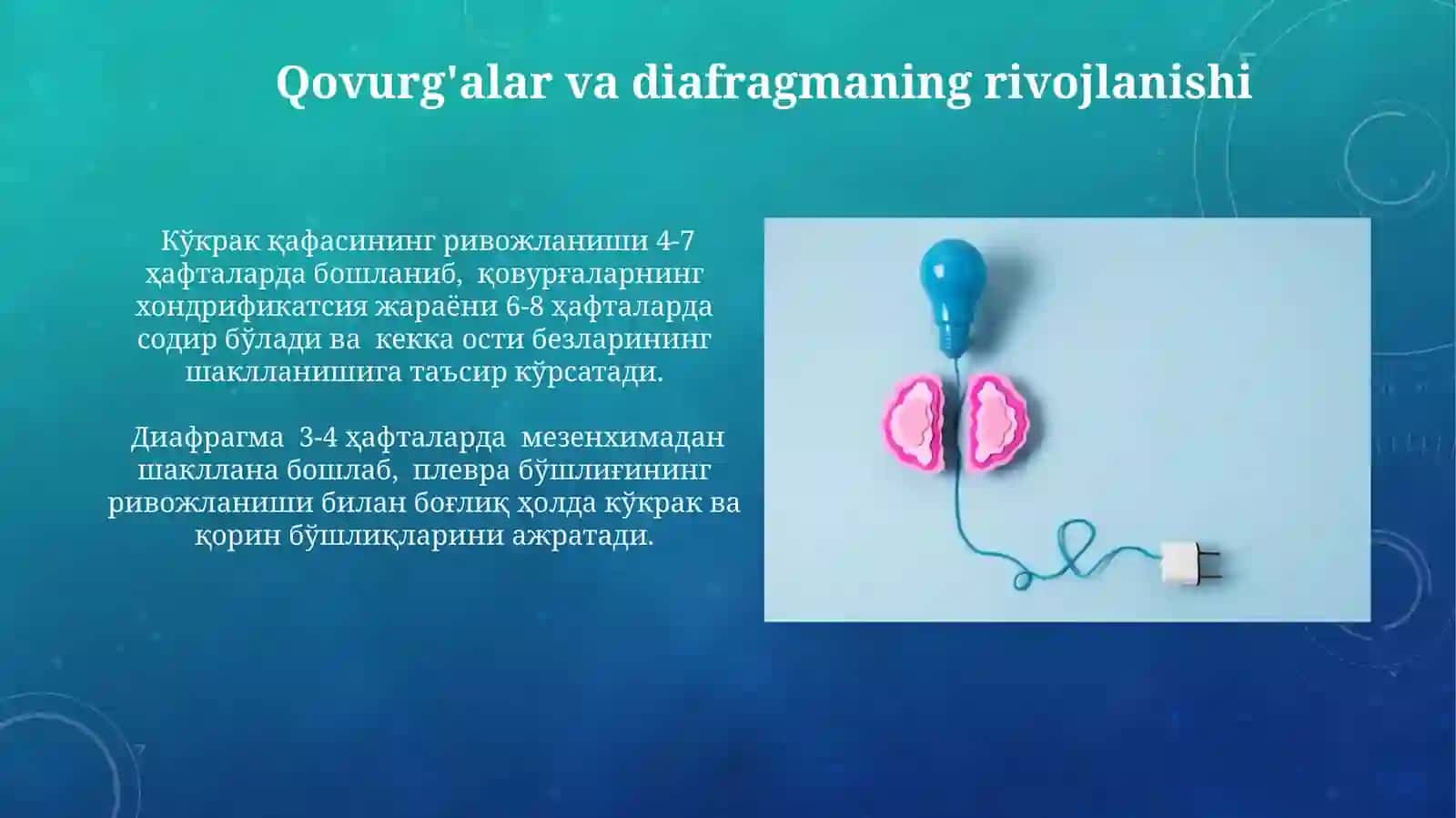 Nafas olish organlari taraqqiyoti 4