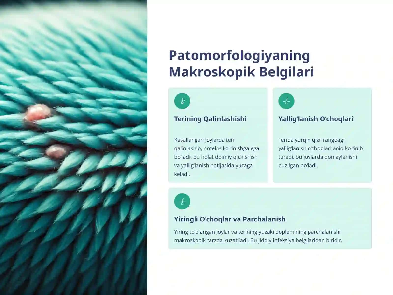 Qo‘y va Echkilarning Kontagiozli Dermatiti: Patomorfologik Tahlil 4