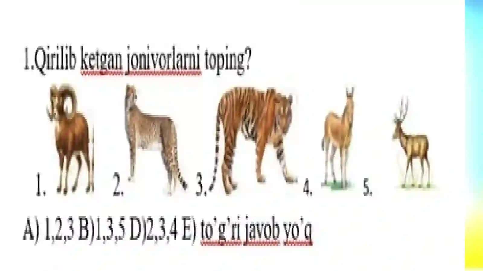 Fan: Onatilivao`qishsavodxonligi 4