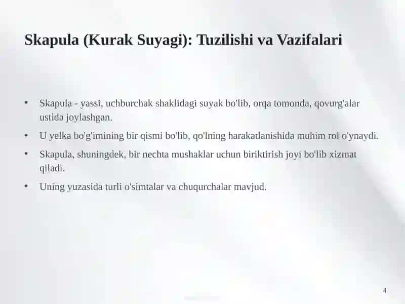 Yelka Kamari va Qo'l Suyaklarining Birlashuvi, Tuzilishi va Xususiyatlari 4