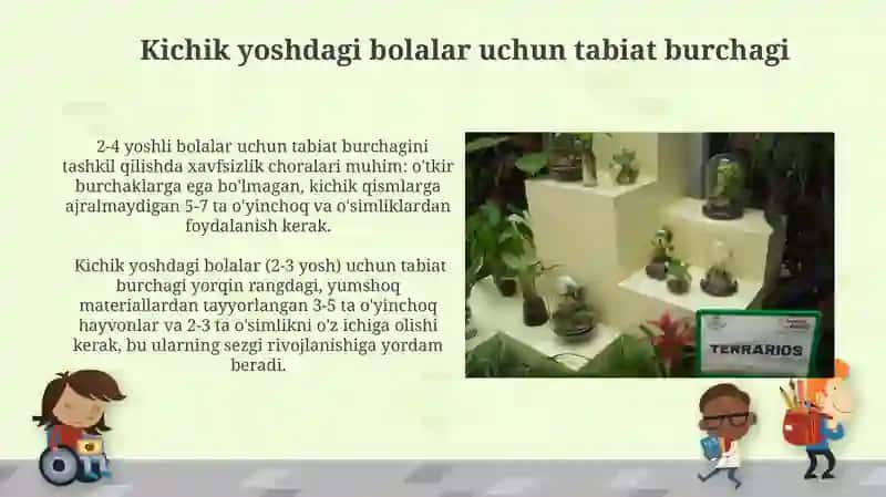 Maktabgacha yoshdagi bolalar uchun tabiat burchagi 4