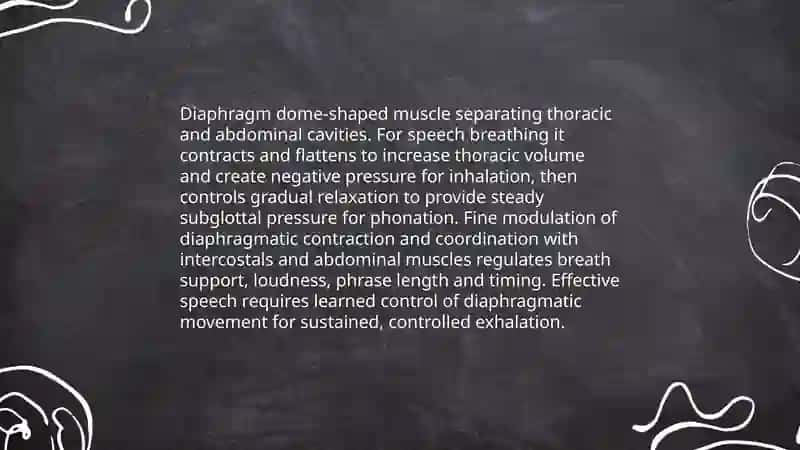 The organs of speech and their function 4