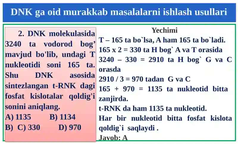 Genetika. DNK ga oid murakkab masalalarning ishlash usullari 4