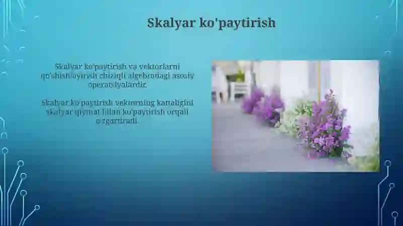 Vektorlar 4
