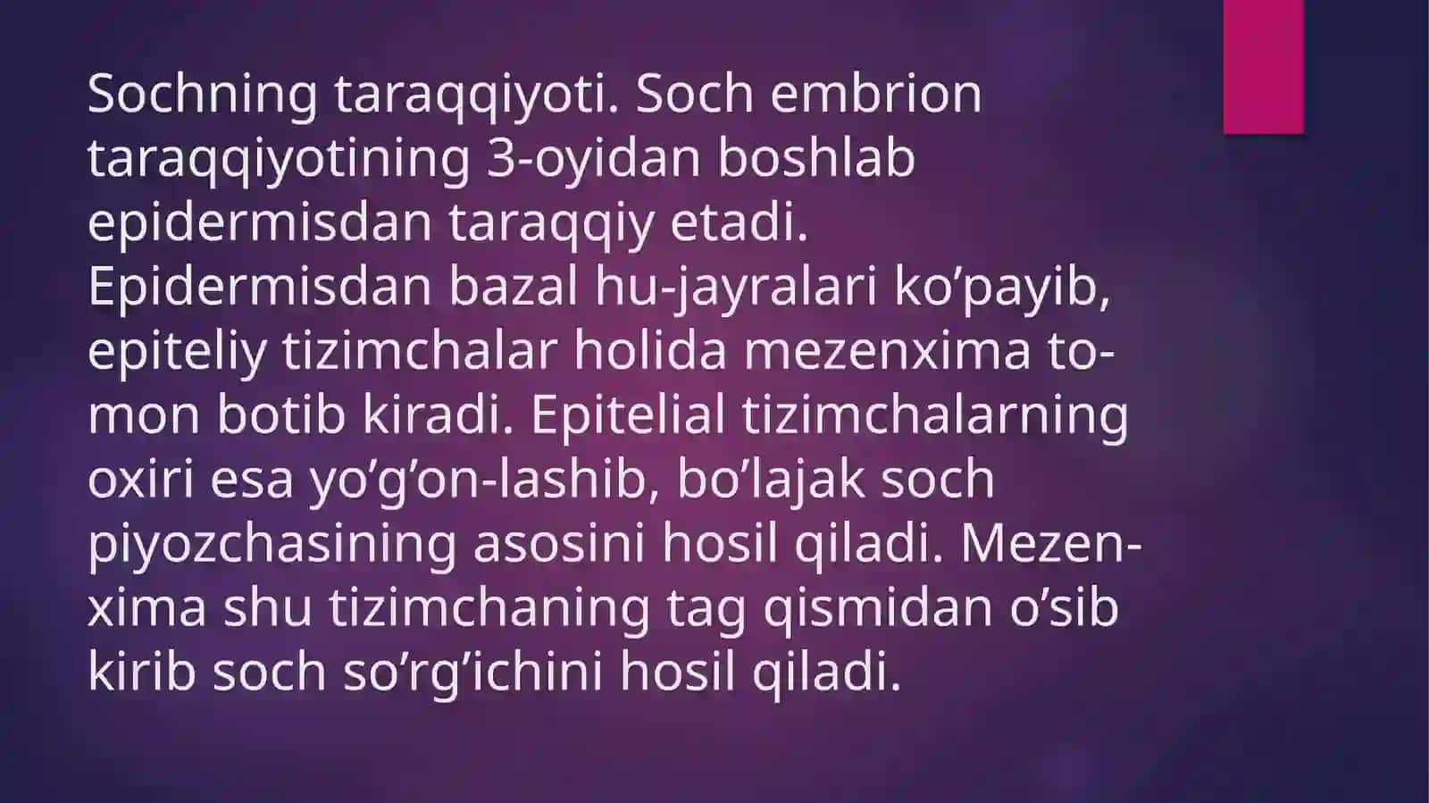 Sochlar 4