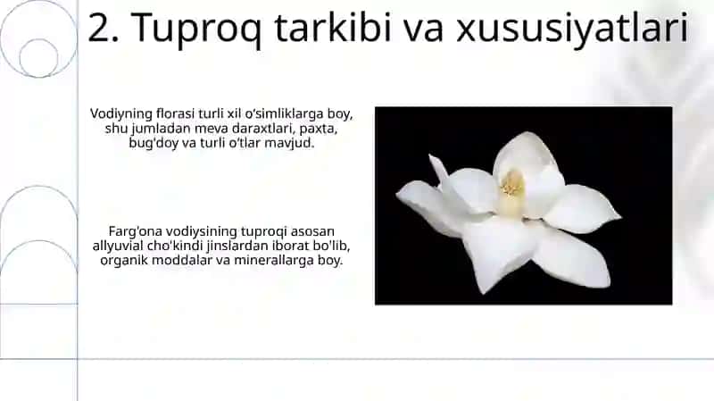 Fargona vodiysining tuproq oʻsimlik hayvonat dunyosi 4
