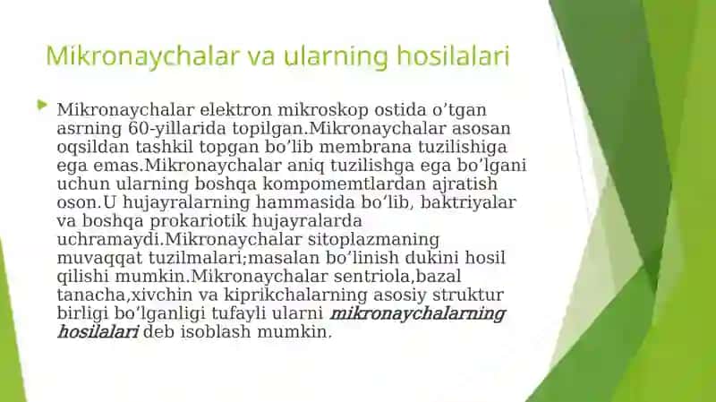 HUJAYRA SITOSKELETINING STRUKTURAVIY VA FUNKSIONAL TASHKIL ETILISHI 4