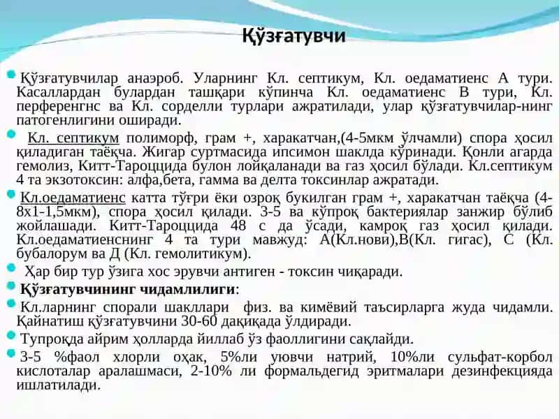 Брадзот ваунгақарши кураш тадбирлари 4