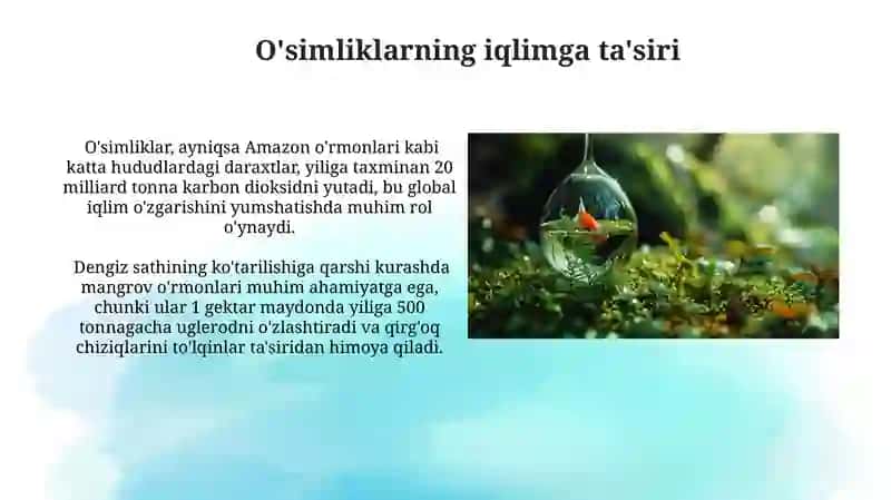 O'simliklarning inson va biosferada tutgan oʻrni va muhofazasi 4