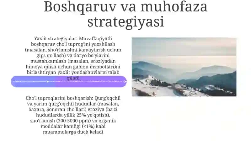 Daryo bo'yi tuproqlari 4