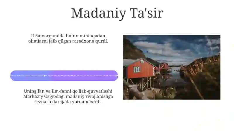 Mirzo Ulug'bek davlat arbobi 4