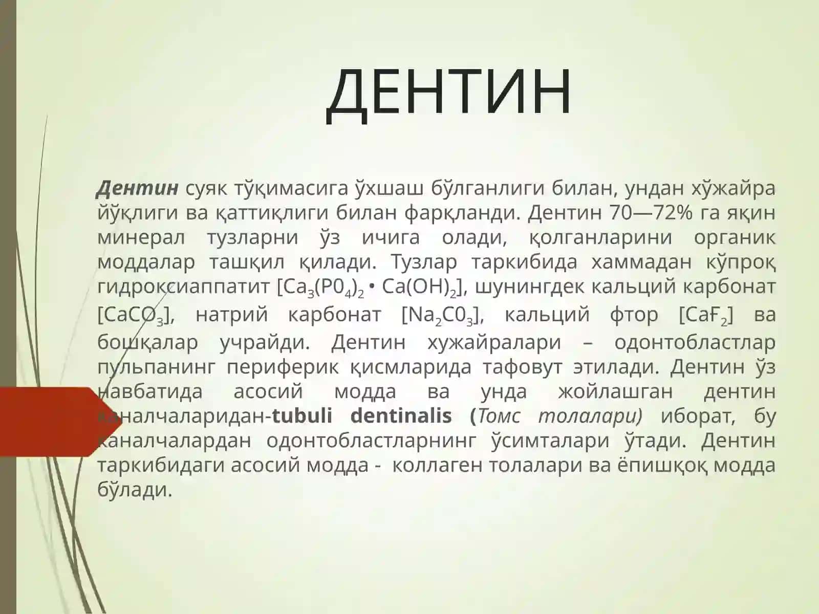 Tishning qattiq toʻqimalari: emal, sement va dentinlarning rivojlanishi va tuzilishi 4