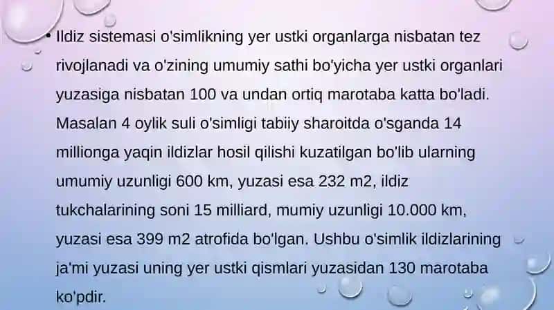 O’simliklarda suv almashinuvi fiziologiyasi 4